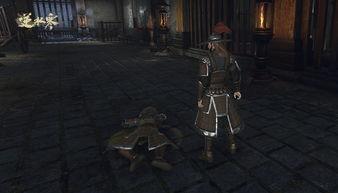 逆水寒最新爆料视频下载,揭秘游戏世界背后的秘密与惊喜