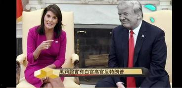 特朗普黑莉最新爆料,揭秘白宫内部权力斗争与外交争议