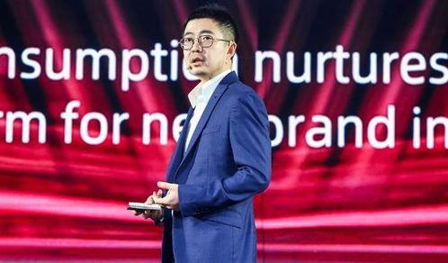 阿里巴巴蒋凡最新爆料,阿里巴巴最新战略布局与行业洞察